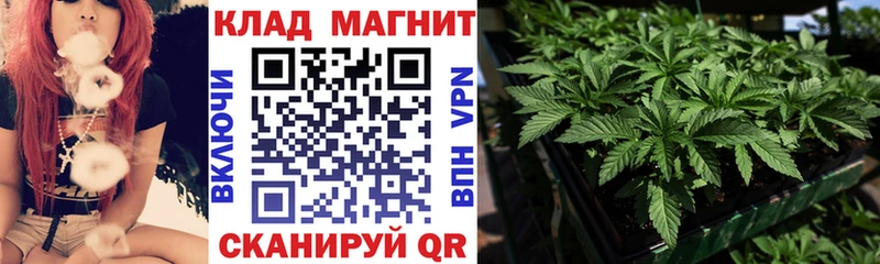 Где купить Высоцк Амфетамин  Меф  Кокаин  ГАШИШ  Конопля 