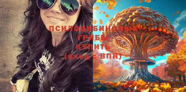 марки lsd Белоозёрский
