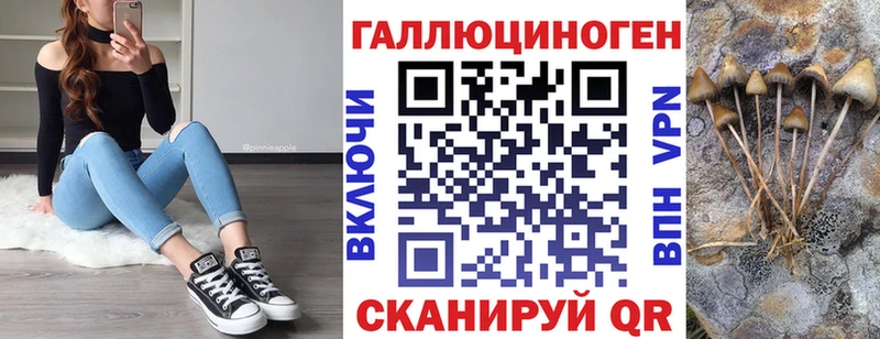 Галлюциногенные грибы Psilocybe  Высоцк 